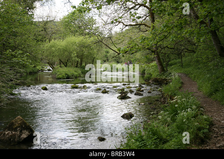 Fluss Wye bei Chee Dale, Derbyshire Peak District National Park, England, UK Stockfoto