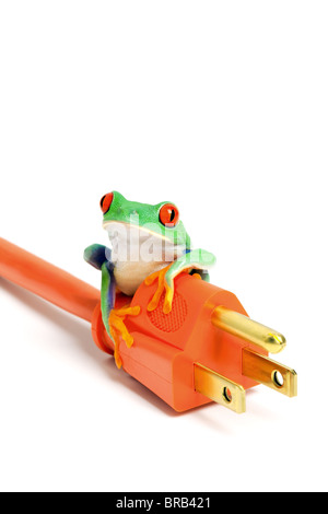 Grün oder erneuerbare Energie / Konservierungskonzept - Frosch auf Power plug isolierten auf weißen Hintergrund. Stockfoto