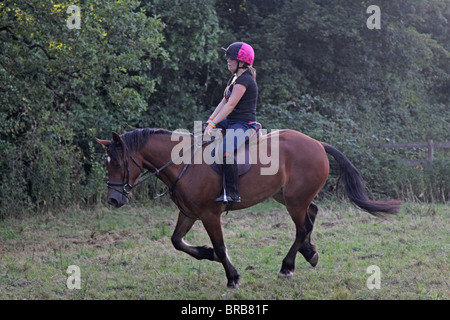 Ein Teeage Mädchen reiten eine schöne Bucht Welsh Cob Stockfoto