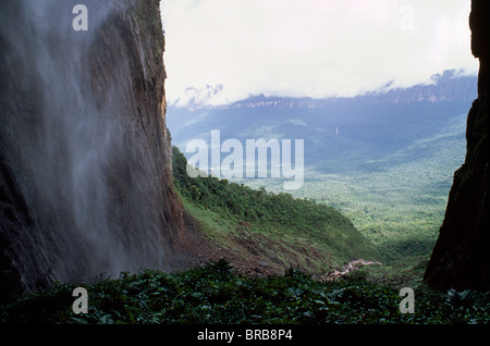 Blick vom Fuße des Salto Ángel, Churun Schlucht, Auyantepui, Canaima National Park, UNESCO, Venezuela Stockfoto