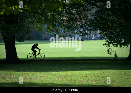 Radfahrer kreuzen Jesus Green Cambridge in schönen Herbst Licht. Platanen säumen den Weg. Einige können verursachen Debatte gefällt werden. Stockfoto