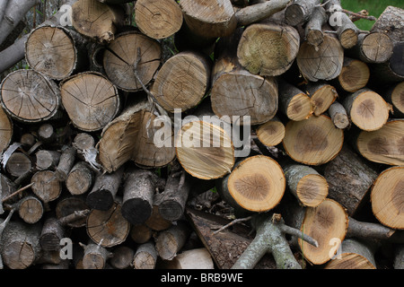 Holz-Haufen - Brennholz Stockfoto