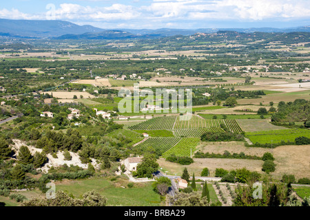 Landschaft in der Provence, Südfrankreich Stockfoto