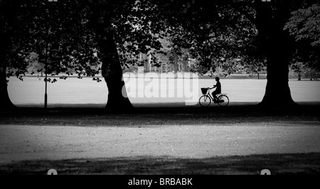 Radfahrer kreuzen Jesus Green Cambridge in schönen Herbst Licht. Platanen säumen den Weg. Einige können verursachen Debatte gefällt werden. Stockfoto