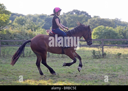 Ein Teeage Mädchen reiten eine schöne Bucht Welsh Cob Stockfoto