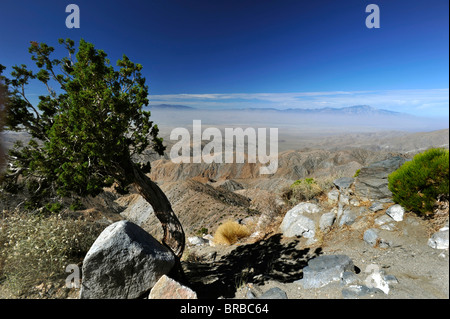 Joshua Tree Nationalpark Arizona Luftverschmutzung Stockfoto