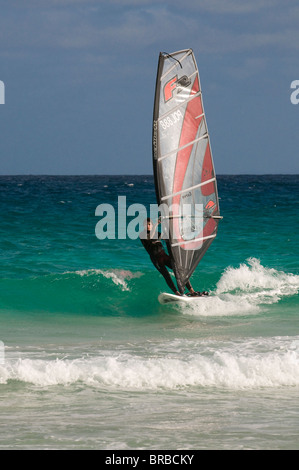 Wind-Surfer im Meer, Santa Maria, Sal, Kap Verde, Atlantik Stockfoto