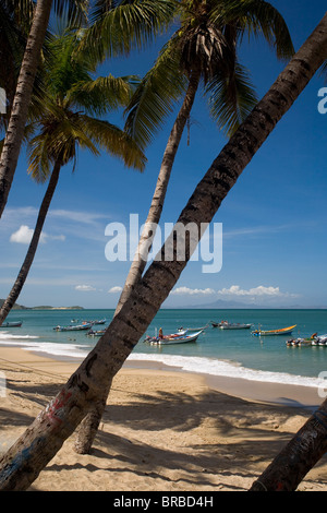 VENEZUELA Margarita Insel Playa la Galera Stockfoto