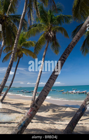 VENEZUELA Margarita Insel Playa la Galera Stockfoto