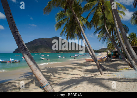 VENEZUELA Margarita Insel Playa la Galera Stockfoto