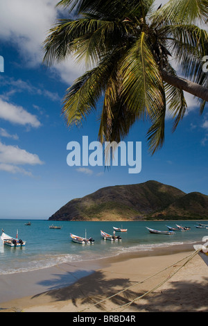 VENEZUELA Margarita Insel Playa la Galera Stockfoto