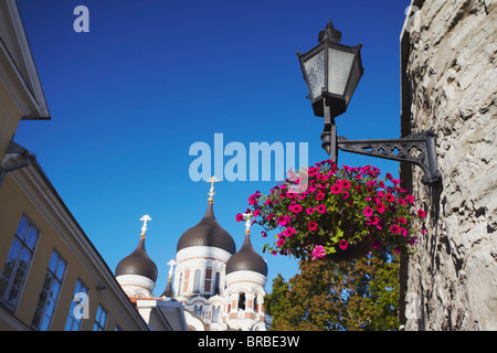 Alexander-Newski-Kathedrale, dem Domberg, Tallinn, Estland, Baltikum Stockfoto