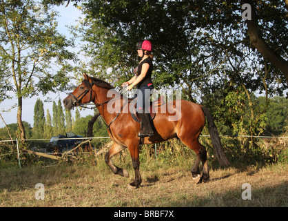 Ein Teeage Mädchen reiten eine schöne Bucht Welsh Cob Stockfoto