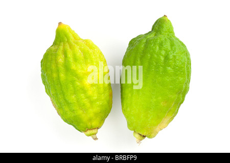 zwei Kaffir Limonen auf weißem Hintergrund Stockfoto