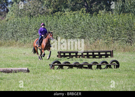 Ein Teeage Mädchen reiten eine schöne Bucht Welsh Cob Stockfoto