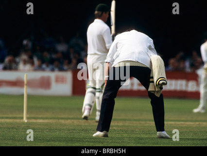 Schiedsrichter bei einem Cricket-match Stockfoto