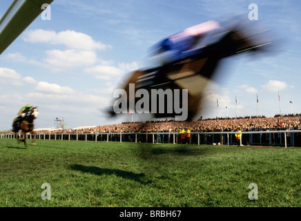 Zwei Pferde laufen auf einer Pferderennbahn Stockfoto