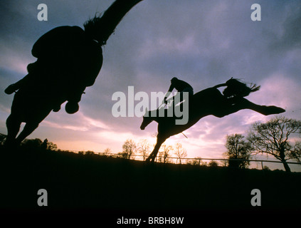 Zwei Pferde Land über ein Hindernis springen in der Abenddämmerung in der silhouette Stockfoto