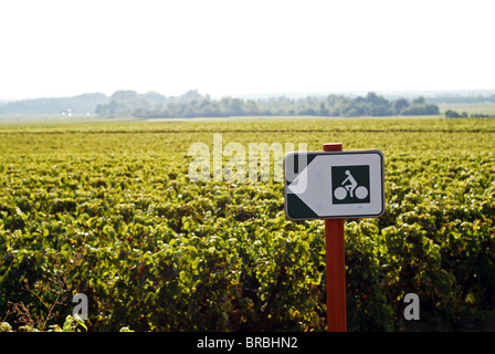 Veloroute Zeichen zwischen Meursault und Puligny-Montrachet, Burgund, Frankreich Stockfoto