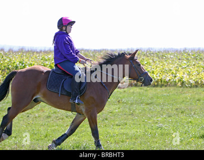 Ein Teeage Mädchen reiten eine schöne Bucht Welsh Cob Stockfoto