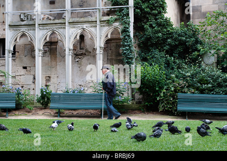 Tauben und Mann, kleinen Park neben der Kirche St-Germain-des-Pres, Paris, Frankreich Stockfoto