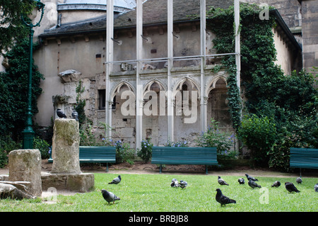 Tauben, kleinen Park neben der Kirche St-Germain-des-Pres, Paris, Frankreich Stockfoto