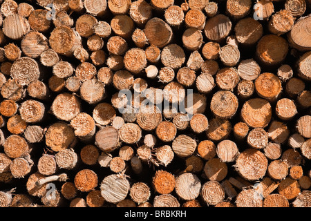 Winter Brennstofflager mit abgeschnittenen Enden von einem Haufen von Protokollen Stockfoto