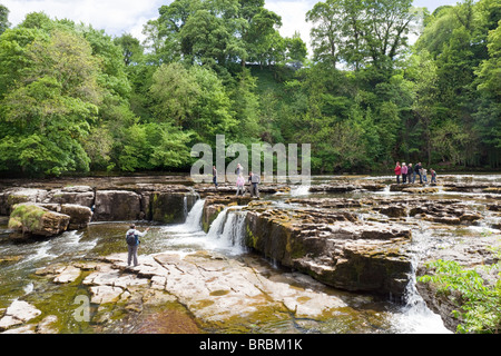 Die obere fällt auf den Fluß Ure in Aysgarth, North Yorkshire, Wensleydale, Yorkshire Dales National Park Stockfoto