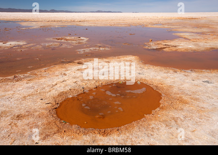 Salar de Uyuni: Ojos del Salar Stockfoto