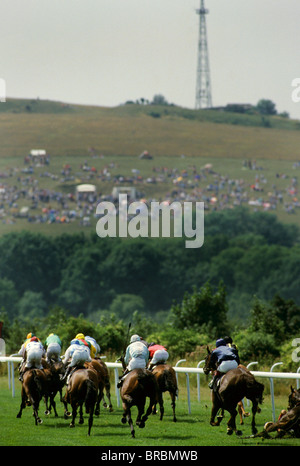 Gruppe der Rennpferde gesehen von Rückansicht mit jockeys an Bord Stockfoto