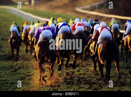 Gruppe der Rennpferde gesehen von Rückansicht mit jockeys an Bord Stockfoto