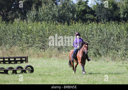 Ein Teeage Mädchen reiten eine schöne Bucht Welsh Cob Stockfoto