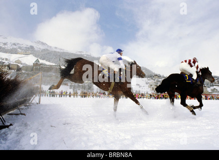 Zwei Pferde und Jockeys nehmen Dickicht Zaun in Eis-Pferderennen Stockfoto