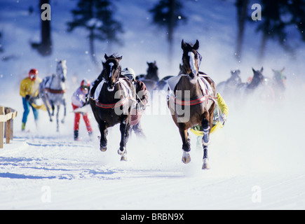 Jockeys Schlitten Hintern Ihre Pferde Im Winter Eis Racing Stockfotografie Alamy