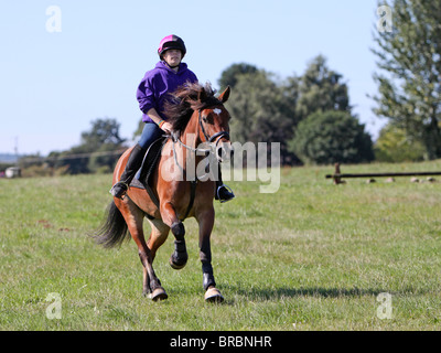 Ein Teeage Mädchen reiten eine schöne Bucht Welsh Cob Stockfoto