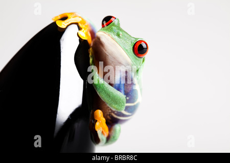 Schwarz-Rakete und grüner Frosch Stockfoto