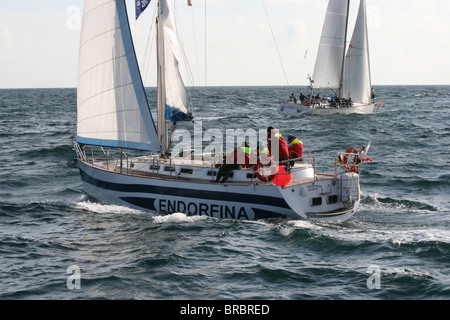 Endorfina, der große Schiffe Rennen 2010, Kristiansand Stockfoto