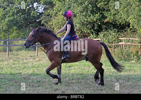 Ein Teeage Mädchen reiten eine schöne Bucht Welsh Cob Stockfoto