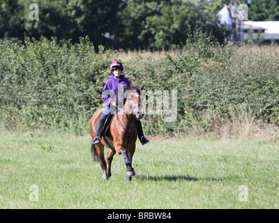 Ein Teeage Mädchen reiten eine schöne Bucht Welsh Cob Stockfoto