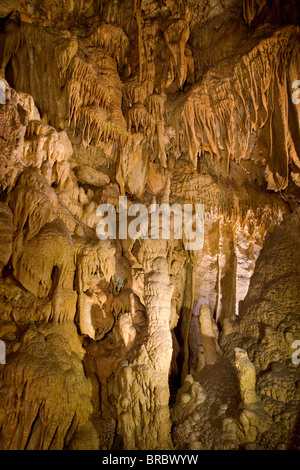 Sinterbildung im Drapierung Zimmer, Mammoth Cave National Park, Kentucky Stockfoto