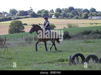 Ein Teeage Mädchen reiten eine schöne Bucht Welsh Cob Stockfoto