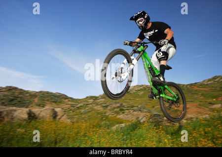 Freestyle Mountainbiker springen. Stockfoto