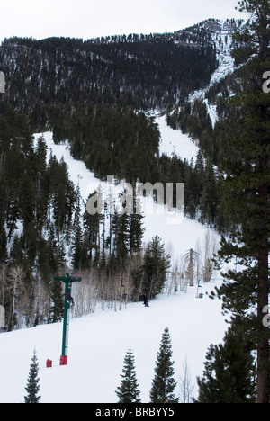 Skigebiet, Mount Charleston, in der Nähe von Las Vegas, Nevada, USA Stockfoto