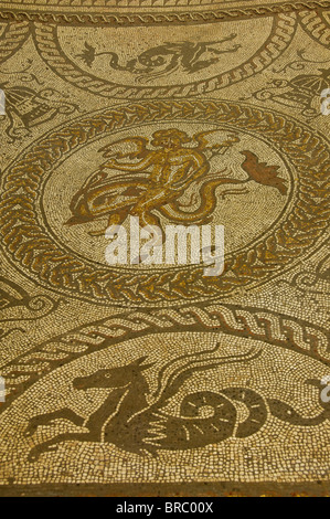 Junge auf einem Delphin und einem fliegenden Pferd, Zentrum der Mosaikboden, Fishbourne Roman Palace in der Nähe von Chichester, Sussex, England, UK Stockfoto