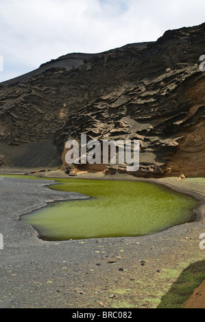 dh grüne Lagune EL GOLFO LANZAROTE grüne Lagune und vulkanischer Lava Felsen Stockfoto