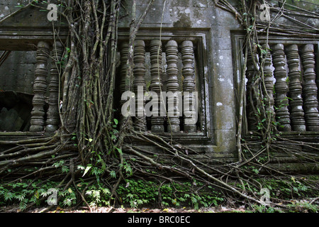 Überwucherten Ruinen eines Tempels in der Nähe von Angkor Wat. Kambodscha Stockfoto