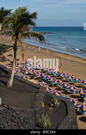 dh Strand PUERTO DEL CARMEN LANZAROTE Palmen farbigen Sonnenschirmen am Strand von Puerto Del Carmen Stockfoto