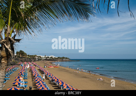 dh Strand PUERTO DEL CARMEN LANZAROTE Palmen farbigen Sonnenschirmen am Strand von Puerto Del Carmen Stockfoto