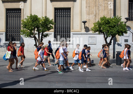 Kinder auf eine Schule besuchen, Avenida De La Constitución, Sevilla, Andalusien, Spanien Stockfoto