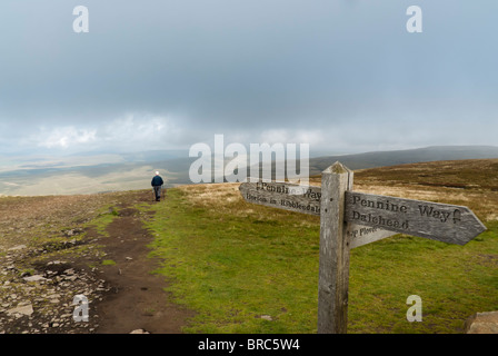 Pennine Way unterzeichnen auf dem Fußweg auf dem Gipfel von Pen-y-Gent. North Yorkshire. Yorkshire Dales National Park Stockfoto